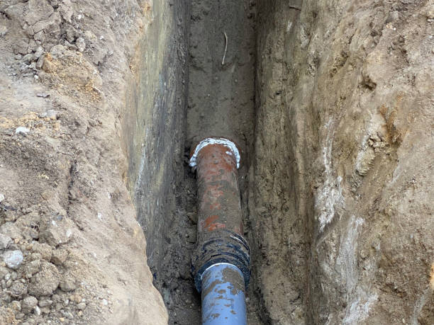 Best Local water damage restoration  in Saylorville, IA