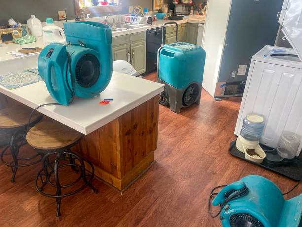Local water damage restoration in IA