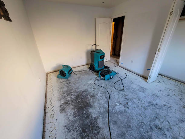 Best Professional water damage repair  in Saylorville, IA