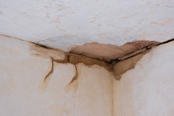 Best Emergency water damage restoration  in Saylorville, IA