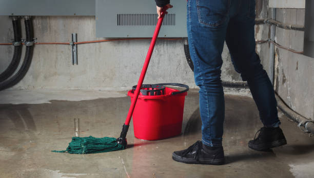Best Local water damage restoration  in Saylorville, IA
