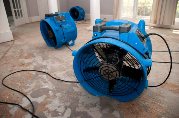 Best Water damage restoration near me  in Saylorville, IA