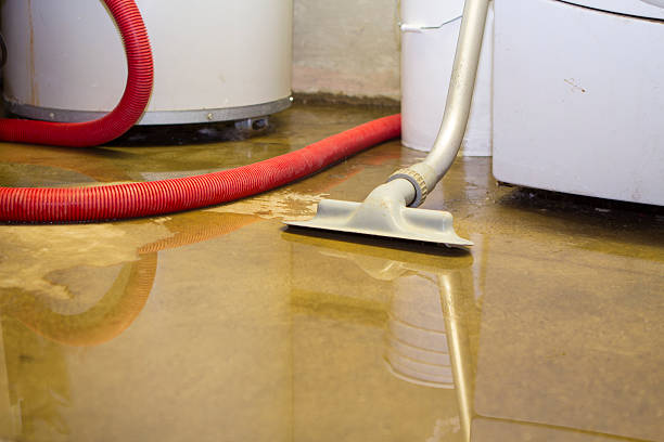 Best Fire Damage Restoration  in Saylorville, IA