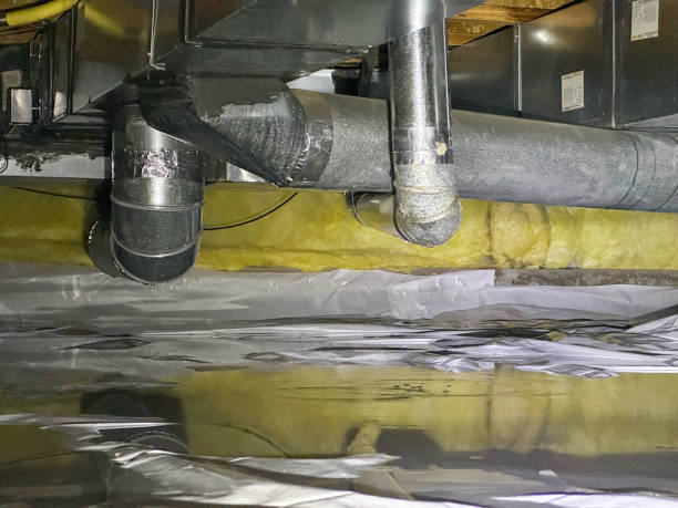 Best Ceiling water damage repair  in Saylorville, IA