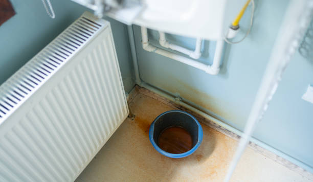 Best Flooded house restoration  in Saylorville, IA