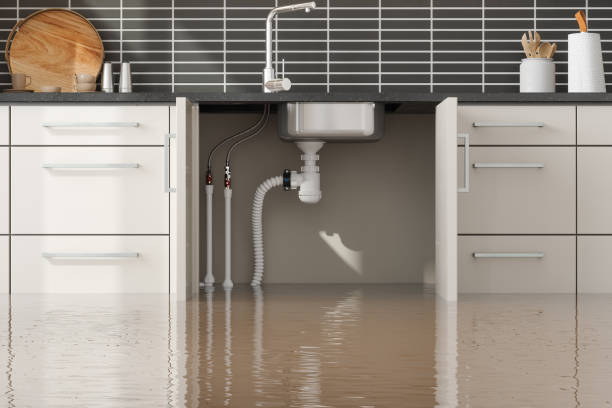 Best Water damage restoration near me  in Saylorville, IA