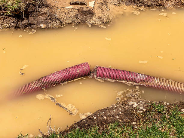 Best 24/7 water damage repair  in Saylorville, IA