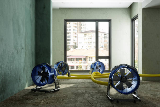 Best Mold removal after water damage  in Saylorville, IA